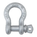 Campbell Chain & Fittings ANCHOR SHACKLE1/2"" 2TON T9640835